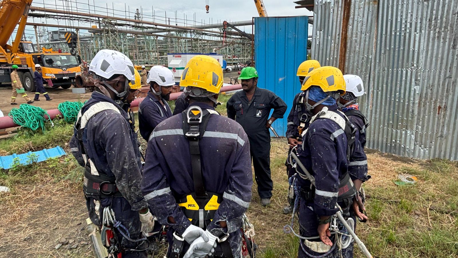 How Alpvise International Rope Services Delivers Safe, Reliable, and Cost-Effective Access Solutions